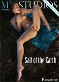 Salt of the earth: Roxanne #1 of 13